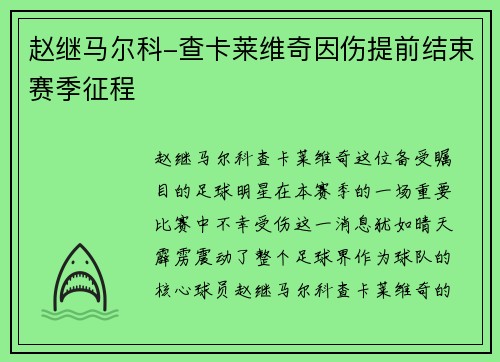 赵继马尔科-查卡莱维奇因伤提前结束赛季征程
